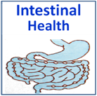 Intestinal Health icon