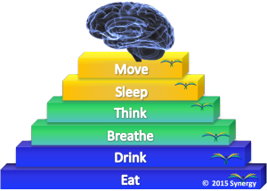 Brain Nourishment Score graphic